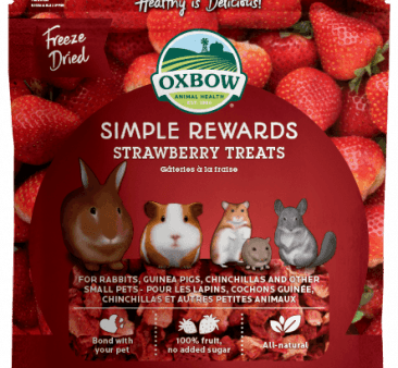 Oxbow Simple Rewards Strawberry Treats (0.5-oz) Discount