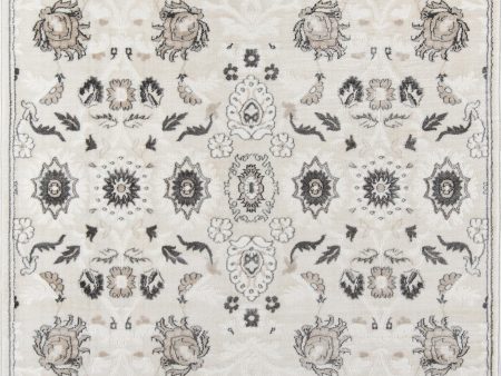 Momeni Carroll Gardens CG-04 Ivory Area Rug For Sale