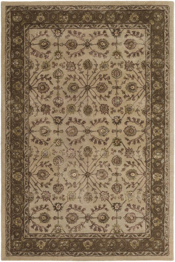 Surya Breckenridge BRN-2004 Area Rug Online now