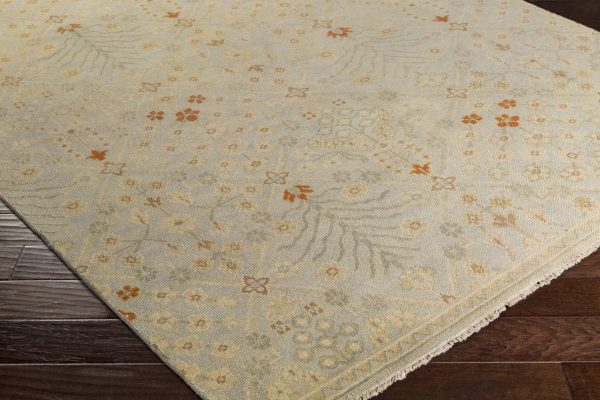 Surya Castle CSL-6007 Area Rug Online Sale